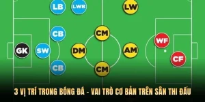 3 Vị Trí Trong Bóng Đá - Vai Trò Cơ Bản Trên Sân Thi Đấu