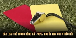 Các Loại Thẻ Trong Bóng Đá - 90% Người Xem Chưa Hiểu Hết