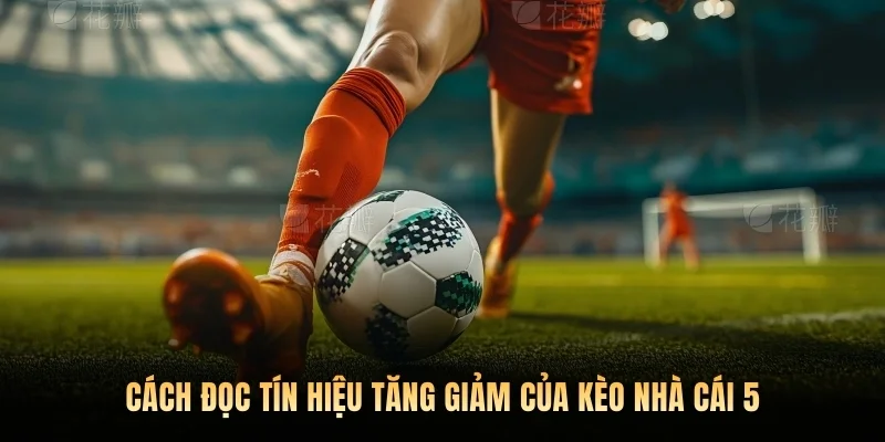 Cách đọc tín hiệu tăng giảm của kèo nhà cái 5