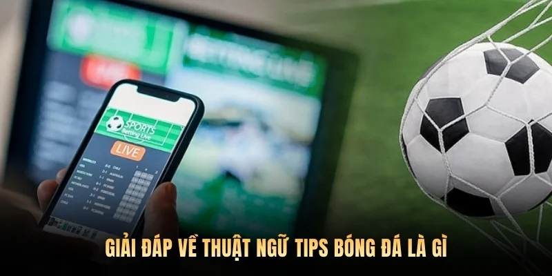 Giải đáp về thuật ngữ tips bóng đá là gì