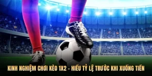 Kinh Nghiệm Chơi Kèo 1X2 - Hiểu Tỷ Lệ Trước Khi Xuống Tiền