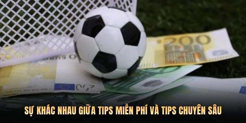 Sự khác nhau giữa tips miễn phí và tips chuyên sâu