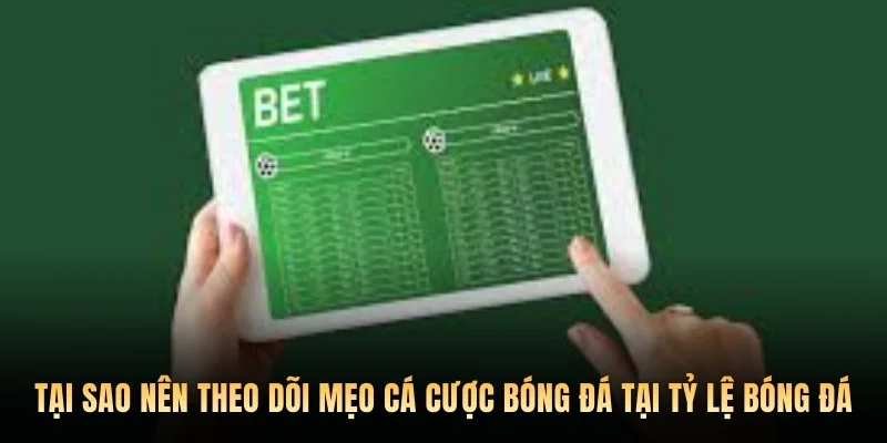 Tại sao nên theo dõi mẹo cá cược bóng đá tại Tỷ lệ bóng đá