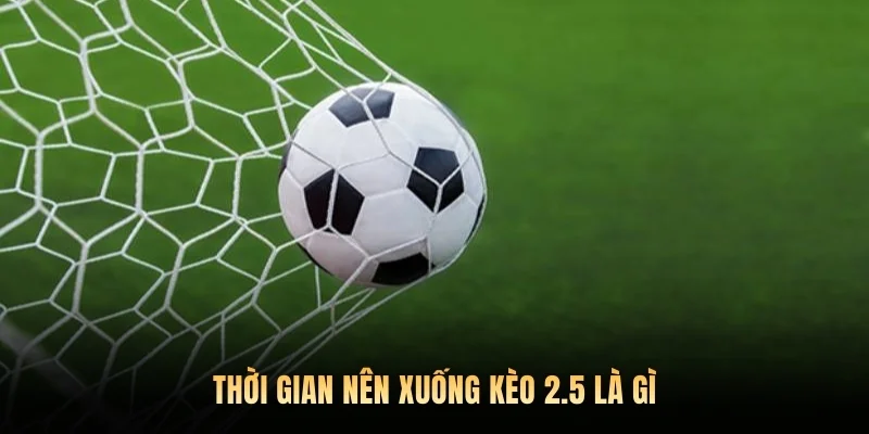 Thời gian nên xuống kèo 2.5 là gì