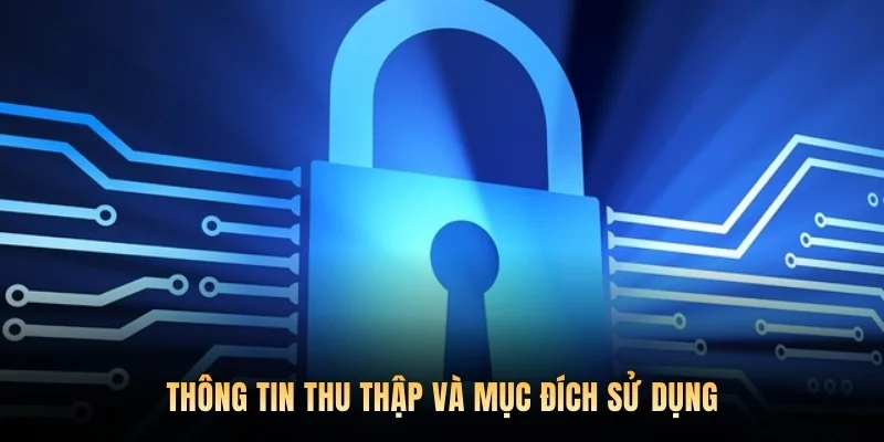 Thông tin thu thập và mục đích sử dụng