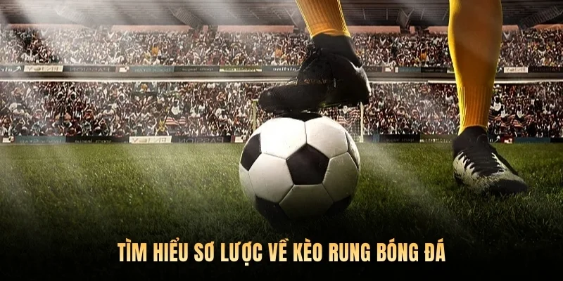 Tìm hiểu sơ lược về kèo rung bóng đá