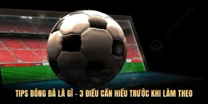 Tips Bóng Đá Là Gì - 3 Điều Cần Hiểu Trước Khi Làm Theo