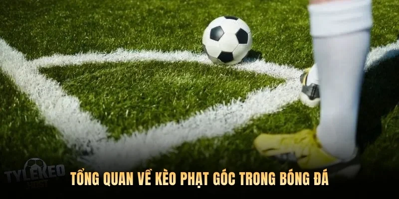 Tổng quan về kèo phạt góc trong bóng đá