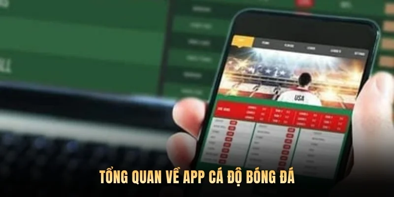 Tổng quan về app cá độ bóng đá