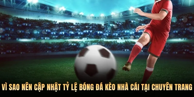 Vì sao nên cập nhật tỷ lệ bóng đá kèo nhà cái tại Tỷ lệ bóng đá